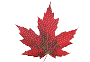 Canadian Maple Leaf - Canadian Private Investigators